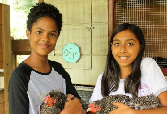 ANIMAL HOUSINGHigh Meadows’  animals live in this dedicated area where students learn responsibility and empathy while caring for our resident rabbits, goats, sheep, and a host of chickens.